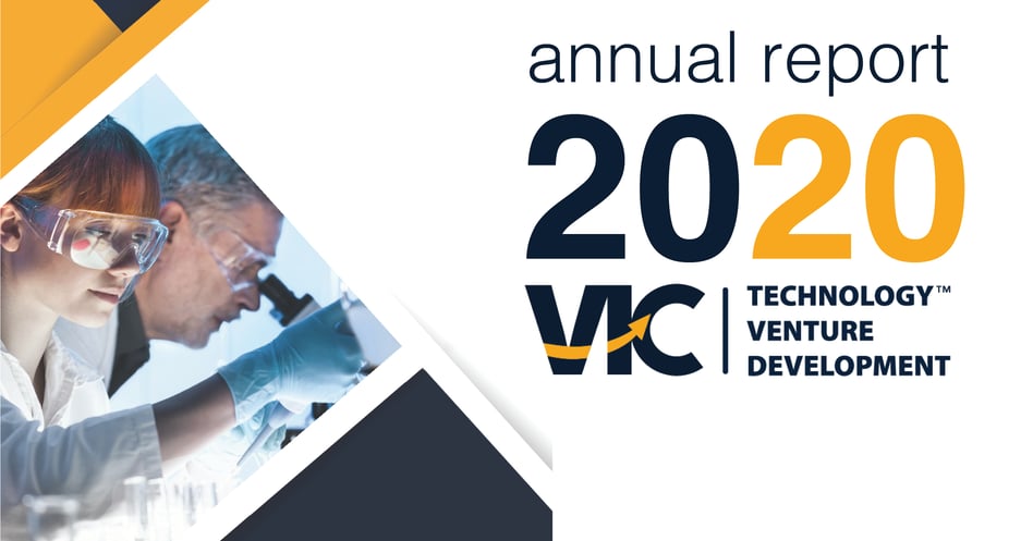 VIC 2020 Annual Report Executive Summary