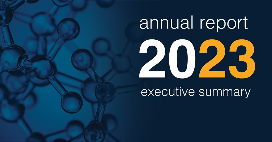 VIC 2023 Annual Report: Executive Summary
