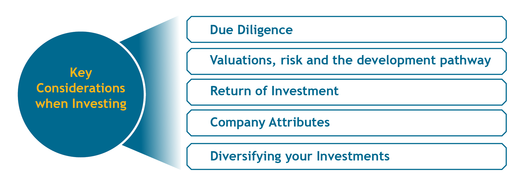 Key considerations when investing